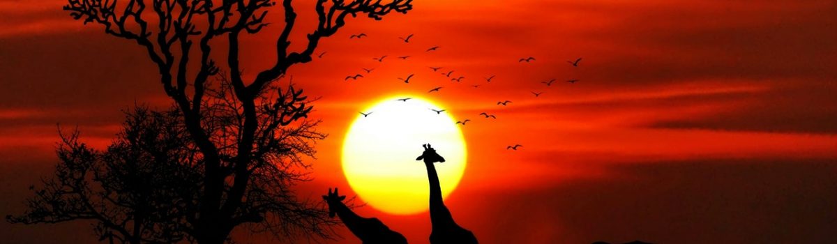 evening